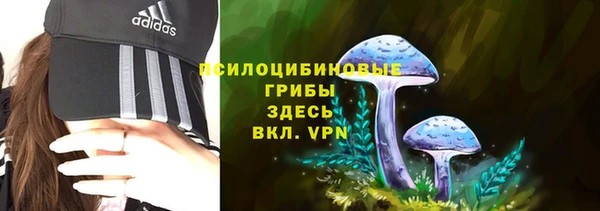 соль ск Каменка