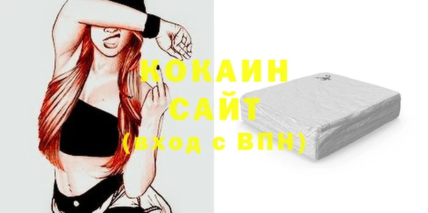 соль ск Каменка