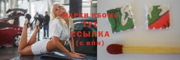 mdpv Инсар