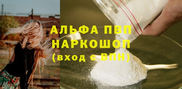 соль ск Каменка
