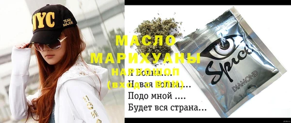 соль ск Каменка