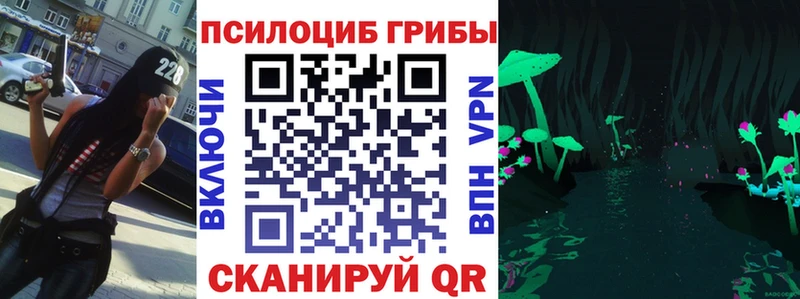 наркотики  Ковылкино  Галлюциногенные грибы Magic Shrooms 